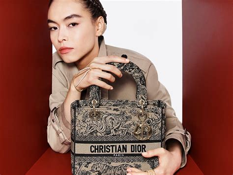 dior d bag|dior handbags catalog.